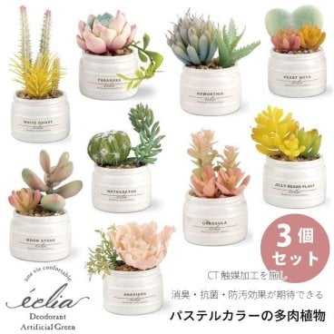 エクリア CT触媒加工 パステルカラーの多肉植物 3個セット 消臭 抗菌 防汚 造花 フェイクグリーン ラッピング メッセージカード