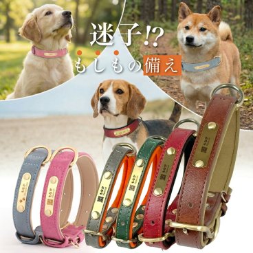 首輪 名入れ 犬 迷子札 小型犬 中型犬 大型犬 シンプル QRコード 電話番号 ネームタグ ネーム入り ネームプレート 名札 サイズ調節可 プレゼント ギフト ラッピング