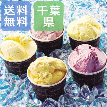 【送料無料】銀座千疋屋 銀座プレミアムアイス 計10個入り【誕生日 結婚祝い 出産祝い 還暦祝い 結婚記念日 送別会 お祝い 引越し祝い 新築祝い 初節句 古希 喜寿 傘寿 お返し 内祝い お見舞い 快気祝い 金婚式 銀婚式 パーティー 景品 賞品 グルメ 母 父 女性 男性 両親 友達 親戚 上司 先輩 後輩 家族 子供 大人 彼氏 彼女 夫婦】【敬老の日 残暑見舞い】