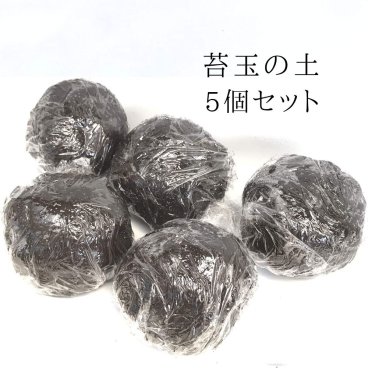 苔玉の土 5個セット  作り方のしおり付 こけだま 苔 こけ コケ コケダマ こけ玉 苔玉手作り 苔玉キット ケト土