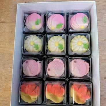 季節の上生菓子敬老の日老人ホーム様デイサービスセンター様専用