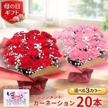 母の日 カーネーション 20本アレンジメント カーネーションアレンジ プレゼント 花 ギフト カーネーション 生花 送料無料 カーネーション お母さん 母 母の日ギフト ギフト 贈り物 送料無料