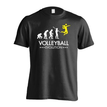 バレーボール Tシャツ 半袖 メンズ ジュニア 練習着 ドライ 「バレーボールエボリューション」 アートワークスコウベ 【送料無料】