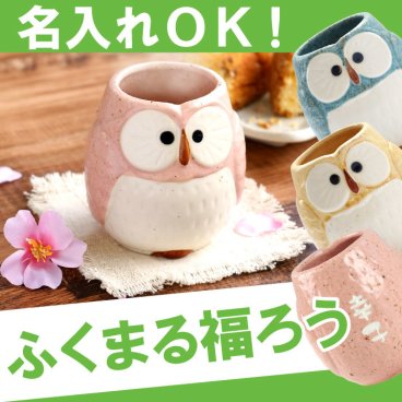 【 名入れ パステル ふくろう 湯呑み 単品 】 湯飲み 湯のみ ゆのみ かわいい おしゃれ 美濃焼 フクロウ 和食器 名前入り 名入り ギフト 誕生日 プレゼント 人気 父 母 祖父 祖母 還暦 古希 長寿 喜寿 記念品 贈り物 おすすめ お祝い 