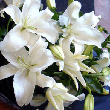 カサブランカ ゆり 花束 お祝 誕生日 歓送迎会 白百合 結婚式 お供え 仏事 ご供養