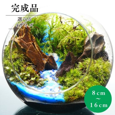 【完成品】8-16cm ガラスボトル テラリウム 苔テラリウム 川が続く風景 テラリウム 気孔石　青砂 インテリア プレゼント 気孔石 観葉植物 新生活 入学祝い 歓迎会 送別会 苔 テラリウム おしゃれ 贈り物 グリーン