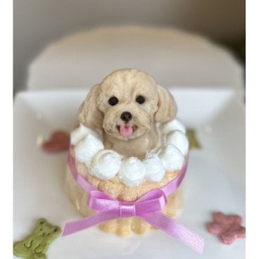 ノワールデコ３ わんちゃん用（犬）ケーキ 誕生日 お祝い