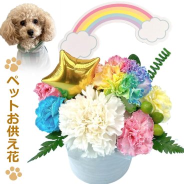 生花 ペット お悔やみ花 レインボーカーネーション お供え アレンジメント 送料無料