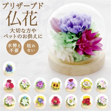 お供え ガラスドーム 供養 仏花 通販 フラワーアレンジメント プリザーブドフラワー プリザードフラワー 供え花 献花 飾り 手のひらサイズ ドーム ドームタイプ 仏壇用 お盆 花 フラワー 枯れない 長持ち 四季 暦 進物 法要 かわいい 可愛い