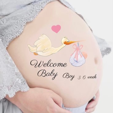 マタニティシール【送料無料】マタニティフォトシール マタニティペイントシール ベリーペイントシール welcome Baby タトゥーシール ボディシール コウノトリ 鳥 赤ちゃん 出産祝い