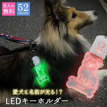キーホルダー 迷子札 光る LED ペット 犬 リード 首輪 ペンダント おしゃれ ライト お散歩 かわいい ネームプレート ギフト プレゼント アクリル 夜道 安全 ライト ハーネス 大型犬 小型犬 中型犬 ペット用品 補助 リード 名入れ 名前入り