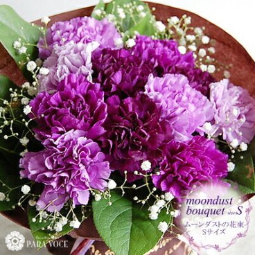 カーネーション ムーンダストの花束(S 12本)【長寿祝い 誕生日プレゼント 花 フラワーギフト 誕生日 古稀 喜寿 卒寿 長寿のお祝い 退職祝い プレゼント 女性 男性 記念日 花 ダズンフラワー 花 古希 紫 青  誕生日プレゼント スタンディングブーケ 花瓶が要らない 喜寿 紫 生花 送料無料】
