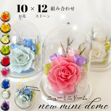 プリザーブドフラワー ミニ ギフト フラワーアレンジ ニューミニドーム 選べる 10カラー プラスチック 軽量 安心 誕生日 結婚 記念日 送別 餞別 お礼 発表会 贈り物 ギフト お礼 お悔やみ ペット お供え ストーン 誕生石 カスタマイズ 送料無料