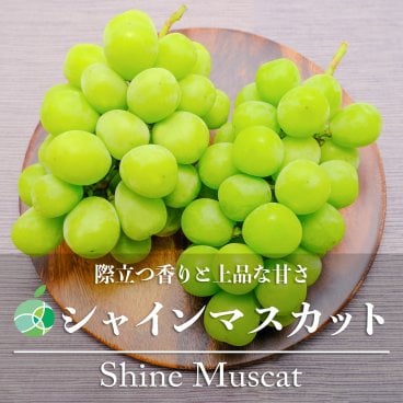 長野県産 シャインマスカット 2房セット ｜ 1房約450-500g ｜ フルーツ ギフト プレゼント お礼 お祝い お見舞い