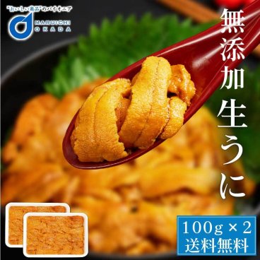 生うに 100g 2パックセット チリ産 無添加 みょうばん不使用 お刺身用 ウニ うに 雲丹 冷凍 お取り寄せグルメ 食品 冷凍生 ウニ丼 刺身 うにパスタ スパゲッティ 軍艦 海鮮丼 寿司【冷凍】