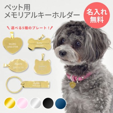 迷子札 犬 いぬ 猫 ねこ ペット 首輪 犬用迷子札 名前入れ 名入れ ネーム入り ネームタグ ドッグタグ 名札 かわいい おしゃれ 犬首輪 犬の首輪 迷子防止 軽い 軽量 迷子 防止 名前 連絡先 ペットタグ ステンレス ペットネームタグ【GM】