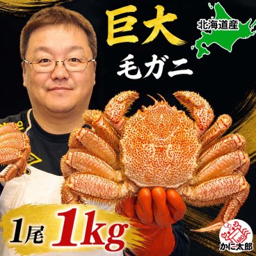巨大な毛蟹　1ｋｇ前後　1尾入り　ボイル冷凍 北海道産の毛ガニです。毛がにの醍醐味でもあるカニ味噌とかに身と絡めてお召し上がりください