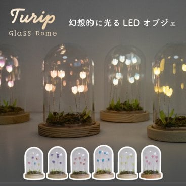 LUMO チューリップ ガラスドーム LEDライト付 卓上 インテリア 置物 コードレス 電池式 オブジェ インテリアライト 間接照明 かわいい フラワーライト 北欧風 ファンタジー 幻想的 癒し ナチュラル シンプル ギフト プレゼント 新生活 【選べる特典付】