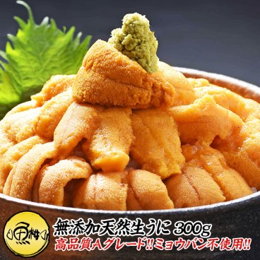 ウニ 天然生うに 300g 約６-８人前 ミョウバン不使用の無添加うに 味見の良いチリ産高品質Aグレード 【雲丹/海胆/海栗/お取り寄せ/グルメ/敬老の日/ギフト/2026/贈答】