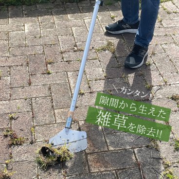 隙間雑草除去 ザクっとトレール[雑草 ぬき 道具 草刈り 雑草抜き 立っ た まま 雑草取り 抜き ツール 草 を 刈る くさ 取り 庭 通学路 歩道 コンクリート 隙間 生える 立ったまま 処理] 即納