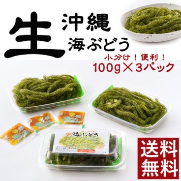 【生】海ぶどうたっぷり入って300g（100g×3パック）小分け 送料無料 酒の肴 赤字覚悟の為 1日数量限定 沖縄土産 沖縄料理 お取り寄せ おつまみ うみぶどう 海ブドウ 海藻  プレゼント