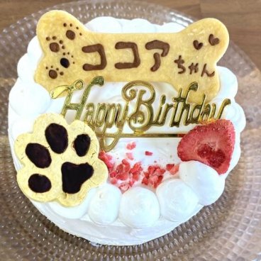 ワンちゃんと飼い主さんが一緒に食べられるお祝いケーキ