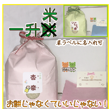《コシヒカリ》一歳のお祝いに一升米　名入れ　一升餅　１歳誕生日【送料無料（沖縄・九州を除く）】
