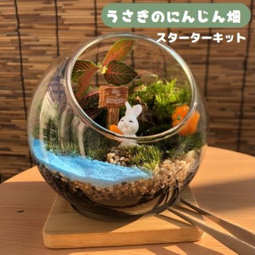 母の日【送料無料】うさぎのにんじん畑 テラリウムキット コケテラリウム おしゃれ 贈り物 ガラスボウル コケインテリア 母の日ギフト コケテラリウム手作りキット 創作キット 苔インテリア 苔リウム コケリウム 作成キット お誕生日 おうち時間 ステイホーム