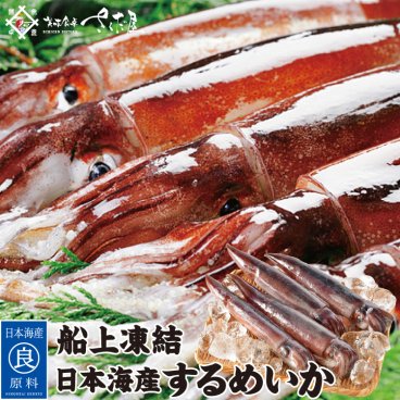 海鮮 BBQセット バーベキューセット 日本海するめいか 4杯～8杯　 船凍イカ【冷凍便】 美味しい贈物 敬老の日 お歳暮 ギフト