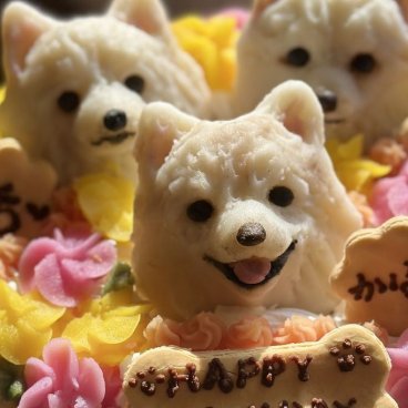 さつまものムースシャルロット3 わんちゃん用（犬）ケーキ 誕生日 お祝い