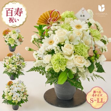 祝！百寿「白」100歳 S M L LL～オーキッド～ 生花 花市場から直送 誕生日 長寿祝い 記念日 アレンジメント 生花 花束 プレゼント