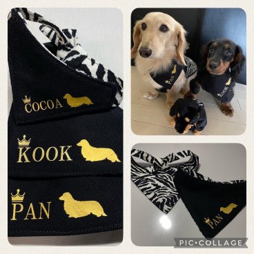 ダックスシルエットバンダナ名前入り ドッグウエア　ミニチュアダックス　プレゼント　犬の服　わんこ　名前入り　ペットウェア　オリジナル　犬
