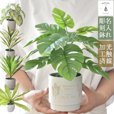 フェイクグリーン 鉢 植物 名入れ 観葉植物 ドラセナ モンステラ カラジューム タニワタリ 記念日 誕生日 新築祝い おしゃれ 光触媒 ギフト 贈り物 オーダー 名前入り レーザー 彫刻  鉢カバー インテリア 緑 グリーン 【名入れフェイクグリーン小】