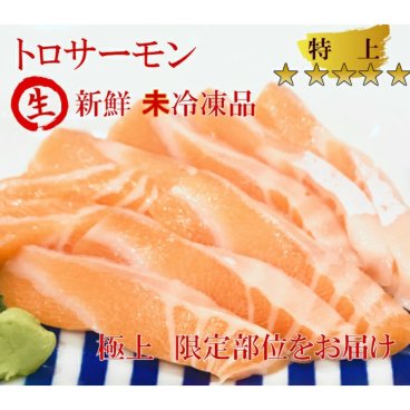 【送料無料】生 トロサーモン【500g】刺身用サーモン 生 敬老の日 ギフト さけ 鮭 鮮魚 新鮮 寿司 刺身 さしみ 魚 ギフト お取り寄せグルメ アトランティックサーモン キングサーモン カルパッチョ お寿司