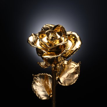 最高級のギフト～24金の薔薇～GOLD ROSE～ゴールドローズ