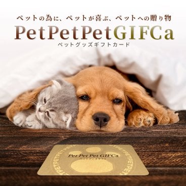 【わんちゃん ねこちゃん たちに素敵なプレゼント】 ペットペットペットギフカ GIFCa カタログギフト カードタイプ ( 10000 ポイント) 犬 猫 鑑賞魚 鳥 昆虫 ハムスター ウサギ 爬虫類 ペットグッズ ギフト お返し ギフトカタログ カタログ ギフトカード ラッピング 熨斗 親 友達 親戚 上司 先輩 ペット友達 ペッ友 ご褒美 贈り物