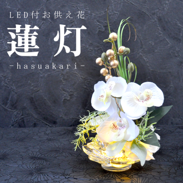 蓮の器に灯るLEDキャンドルと白胡蝶蘭の供花アレンジ【蓮灯-はすあかり-】／メッセージカード ギフト  光る 造花 ろうそく 提灯 お盆 初盆 お供え お彼岸 ご霊前 一周忌 三回忌 月命日 法事 仏壇 洋風 お仏壇 お悔やみ アレンジ ペット 和風 供花 法要 供養 初盆