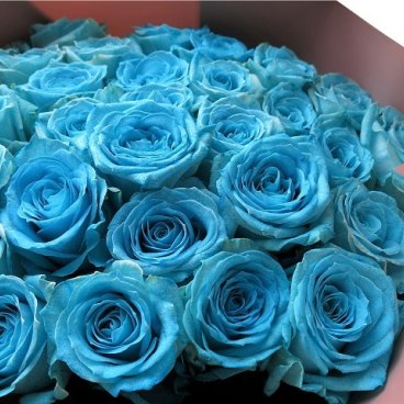 水色バラ 花束 生花使用 30本使用 青バラ系