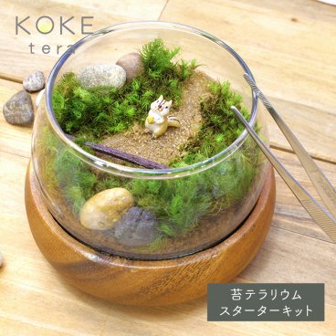 苔テラリウムキット リスの防水フィギュア付き