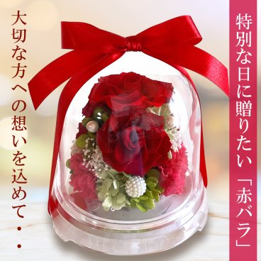 プリザーブドフラワー ドーム フラワーギフト 赤 バラ 還暦祝い 誕生日プレゼント 母の日 クリスマス プロポーズ 結婚記念日 バレンタイン ｜ フローリストレマン チャーム（レッド）