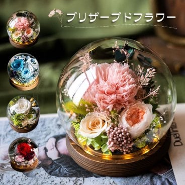 プリザーブドフラワー カーネーション 薔薇 ガラスドーム プレゼント 結婚記念日 花 ボックス バラ 永遠の花 ドライフラワー ローズ ドーム ledライト ケース入り ぶりざーどフラワー 枯れない花 アレンジ ラッピング済み メッセージカード 女性 男性 記念品 退職祝い 出産祝い 引っ越し祝い 新築祝い クリスマス