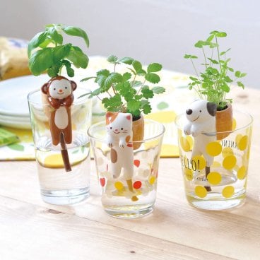 よっこいしょ！背中のかごで育てる植物 しっぽん