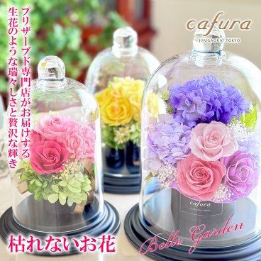 プリザーブド フラワー ドーム アジサイ 紫陽花 紫バラ 名入れ 米寿 喜寿祝い 古希 誕生日 お供え お悔やみ 法事 あじさい 退職 贈り物  ブリザード 結婚祝い 
