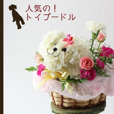 トイプードル フラワーアレンジメント まるでぬいぐるみみたい☆ふわふわでキュンとしちゃう♪かわいい生花カーネーションギフト