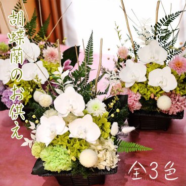 仏花 お供え 【 プリザーブドフラワー 】 胡蝶蘭 お悔やみ 初盆 「胡蝶蘭のお供え」 仏壇用 法事 お盆 枯れない花 和風 ギフト ブリザードフラワー プリザードフラワー 【 プリザーブドフラワー 】