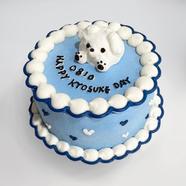 センイルケーキ 4号【５番】バースデーケーキ 誕生日ケーキ 韓国発 推しケーキ 推し活 韓国スイーツ 結婚記念日 記念日 ケーキ ギフト かわいい 人気 バースデー プレゼント お取り寄せ スイーツ インスタ映え 女性