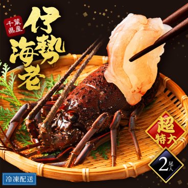 産地直送 送料無料 千葉県産 活〆 生 冷凍 天然伊勢海老 お刺身 メガ 特大 1.2KG 約600g×2尾ギフト 贈り物 お祝い お取り寄せ グルメ イセエビ いせえび 伊勢えび グルメ BBQ プロ仕様 高級 キャンプ えび エビ 海老 超特大 高級品 BBQ お中元 御中元 魚介類【送料無料※一部地域送料あり】