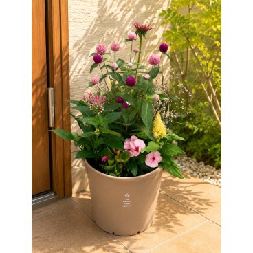 季節の寄せ植え La nature ハンドリーポット 内径24cm （シナモン・4色展開）６～7種類のお花で構成 鉢植え ラッピング不可 ギフトメッセージOK