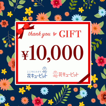全国共通 花とみどりのeチケット 10,000円