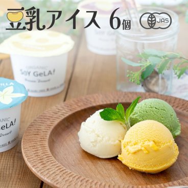 敬老の日  プレゼント ギフト 無添加 オーガニック 豆乳 アイス アイスクリーム カロリー ヘルシー出産祝 誕生日 お取り寄せ スイーツ 無料ラッピング 熨斗対応 【送料無料 / 6個 詰め合わせ】